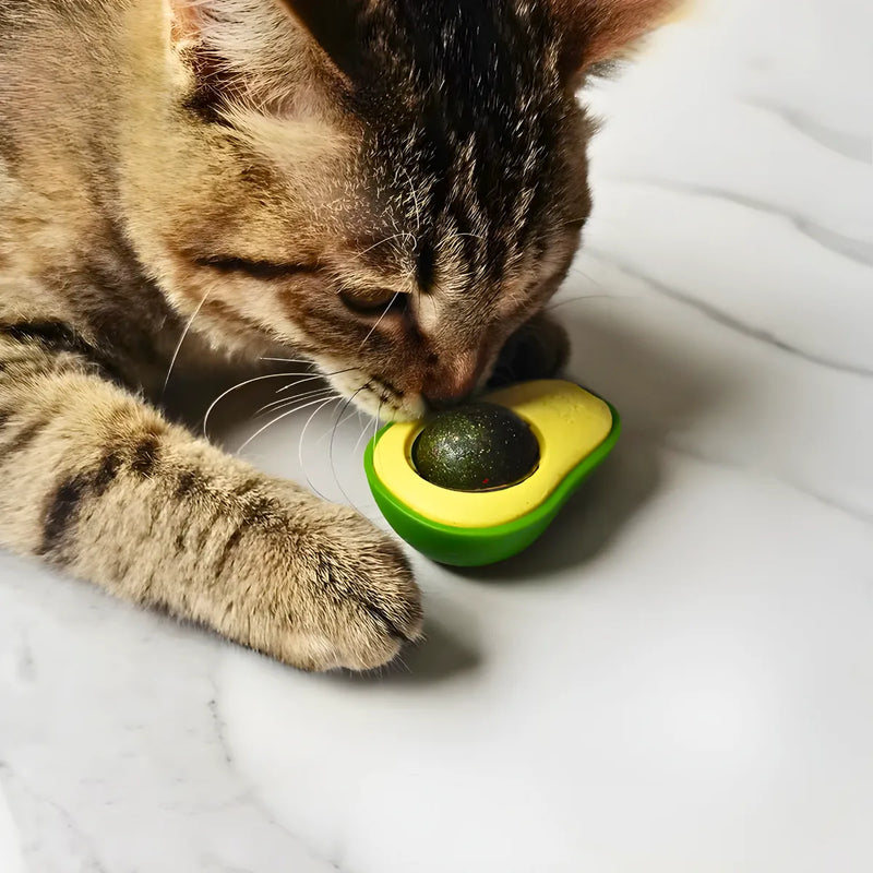 Abacate De Brinquedo Com Catnip Para Gatos 🐈 🐈 🐈