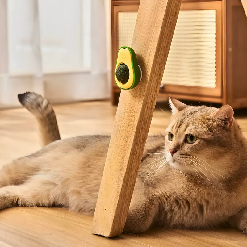 Abacate De Brinquedo Com Catnip Para Gatos 🐈 🐈 🐈